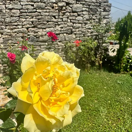 Melodia - Harmony Heaven Apartamento