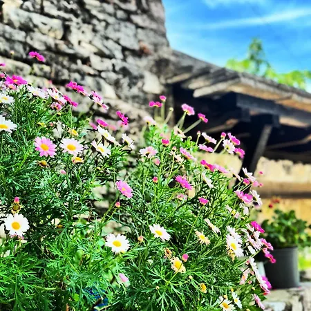 Melodia - Harmony Heaven * Gjirokastra