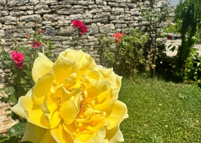 Melodia - Harmony Heaven Lejlighed