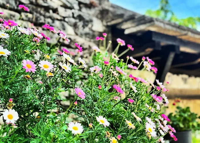 Melodia - Harmony Heaven * Gjirokastër